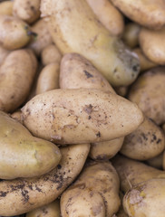 Potatoes in a market 