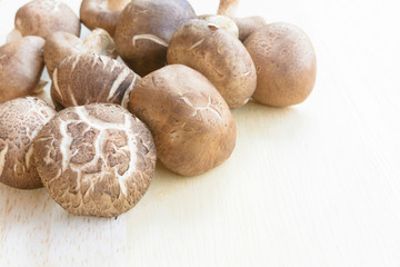 Fresh shiitake mushroom