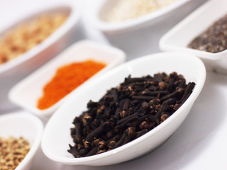 seasoning herb spice and bean for cooking