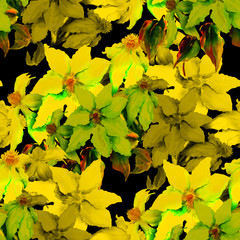 Watercolor clematis, seamless pattern