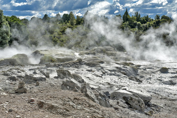 Whakarewarewa Geyser at Te Puia thermal park in geothermal valley of Rotorua, New Zealand