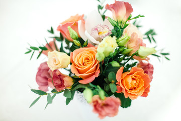 flowers in pot on white background