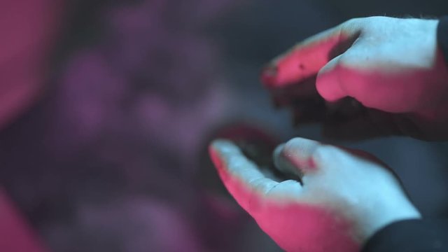 Hands strew tobacco on a dark background
