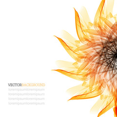 Floral abstract vector background. orange and black sunflower