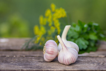 Fresh garlic, parsley and dill on a wooden table