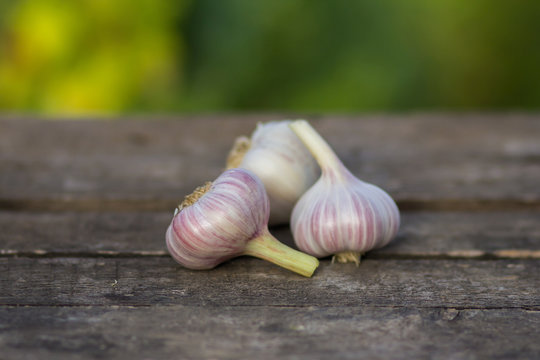Fresh garlic on a wooden table