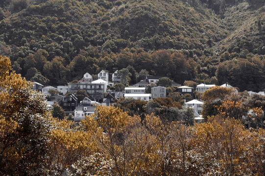 Hilly Wellington's elite residential area in Thorndon, the historic inner suburb of Wellington, capital city of New Zealand