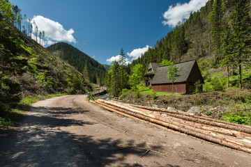 Fototapeta na wymiar road in Chocholowska Valley in Tatra range Poland