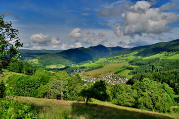 Obraz premium Blick auf den Schwarzwald