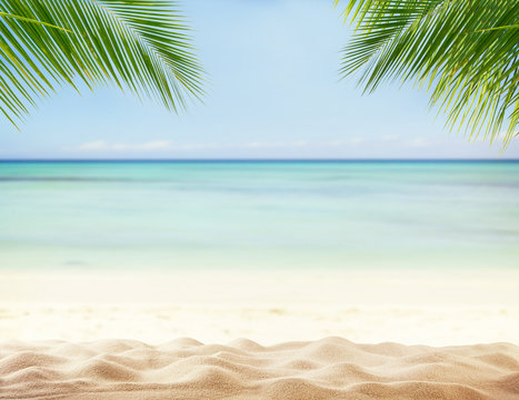 Summer sandy beach with blur ocean on background © Jag_cz