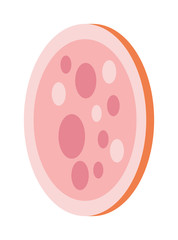 Salami slice vector illustration.