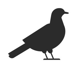 Bird black silhouette vector illustration.