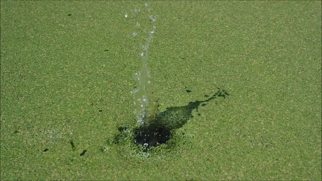Video zur Entspannung