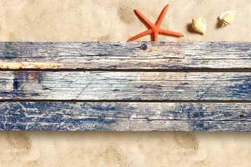 Marine life on old wooden boards on the sand beach