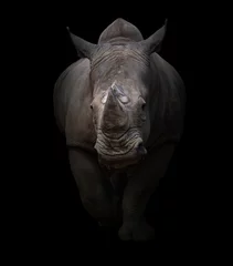 Papier Peint photo Lavable Rhinocéros rhinocéros blanc sur fond sombre