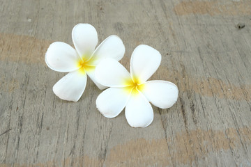 Plumeria flowers on wooden background for spa concept.