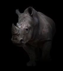 Printed roller blinds Rhino white rhinoceros in dark background