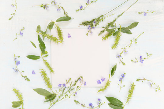 Frame with different herbs and flowers