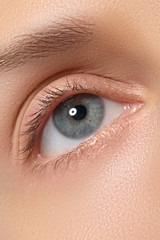 Female eye with long eyelashes close-up. Blue eye
