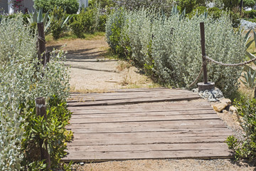 Small oranmental wooden bridge in country garden