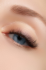 Elegance close-up of beautiful female eye with fashion eyeshadow