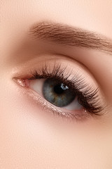 Fototapeta premium Macro shot of woman's beautiful eye with extremely long eyelashes