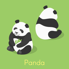 Vector isometric illustration of panda © thruer