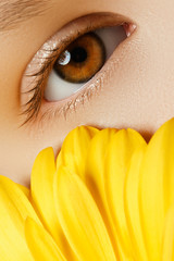 Close-up macro of beautiful female eye with perfect shape eyebrow