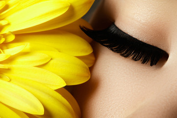 Beautiful face makeup. Extremal long eyelashes. Perfect make-up