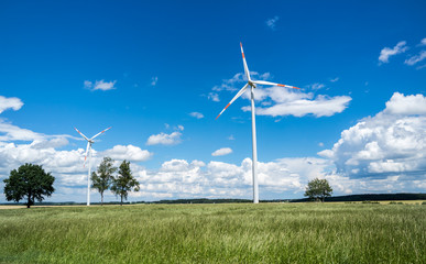 Fototapeta premium Getreidefeld mit Windrädern