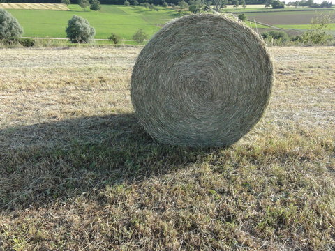 Strohballe