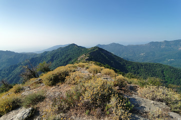 Montagne de la côte est corse