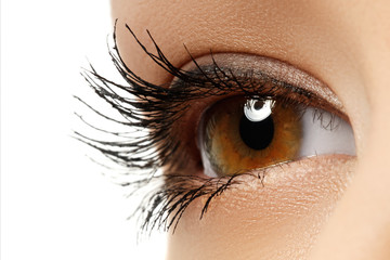 Close-up macro of beautiful female eye. Clean skin