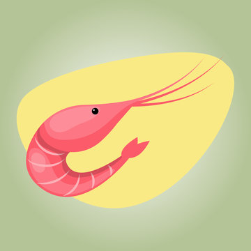 Vector illustration of shrimp