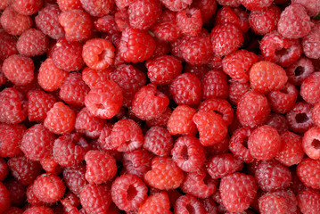 Rasberry background