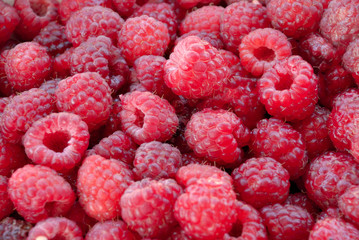 Raspberry background