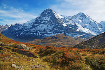 Jungfrau region