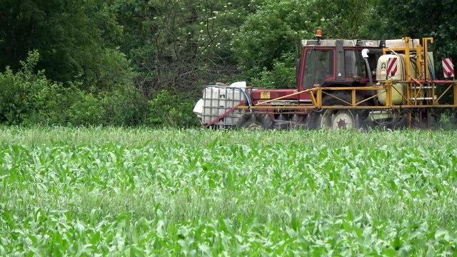Farmer in tractor row crop sprayer applying spraying pesticide over corn field driving to left young stalks showing chemicals acid coming from machine behind tractor driving through green field 4k