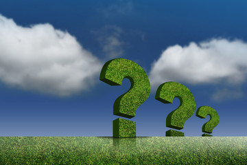 Question with Blue Sky and Green Yard