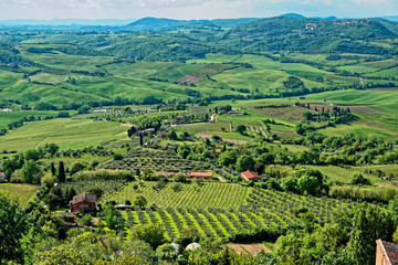 Tuscany at springtime