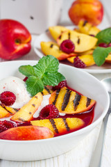 Cold fruit soup with raspberry, grilled nectarines, ice cream, vertical