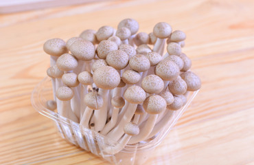Brown beech mushroom, shimeji mushrooms in the package on wooden