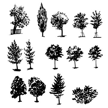 drawing collection of 14 elements of different types of trees graphic ink sketch hand drawn vector illustration