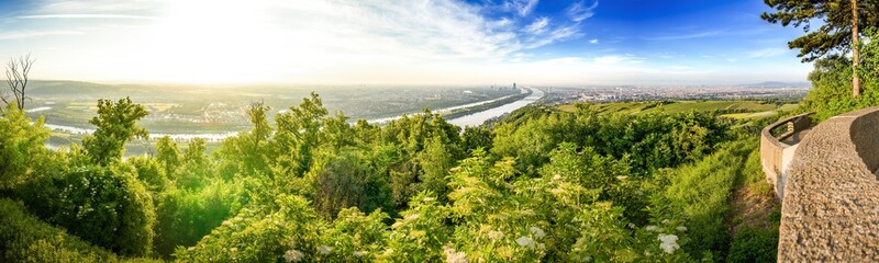 Obraz premium Skyline of capital city Vienna and Danube Island with the Donau City , Austria