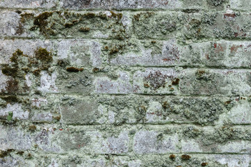 Old mossy brick wall