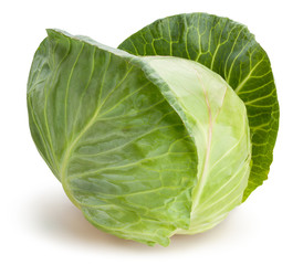 Fototapeta premium cabbage