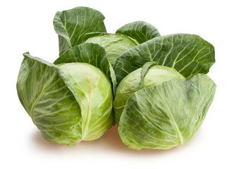 cabbage