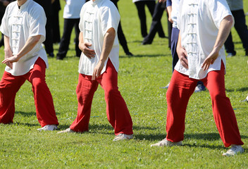 Obraz premium People expert martial arts Tai Chi train in the public park