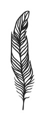 Decorative black feather vector.