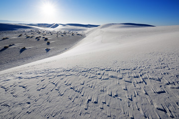  White Sands National Park